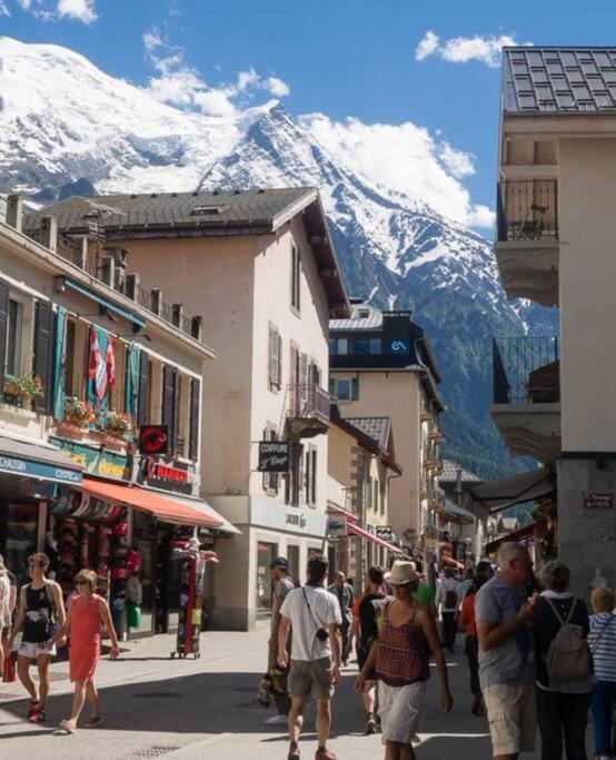 Super Cocooning Vu Mont Blanc Appartement *