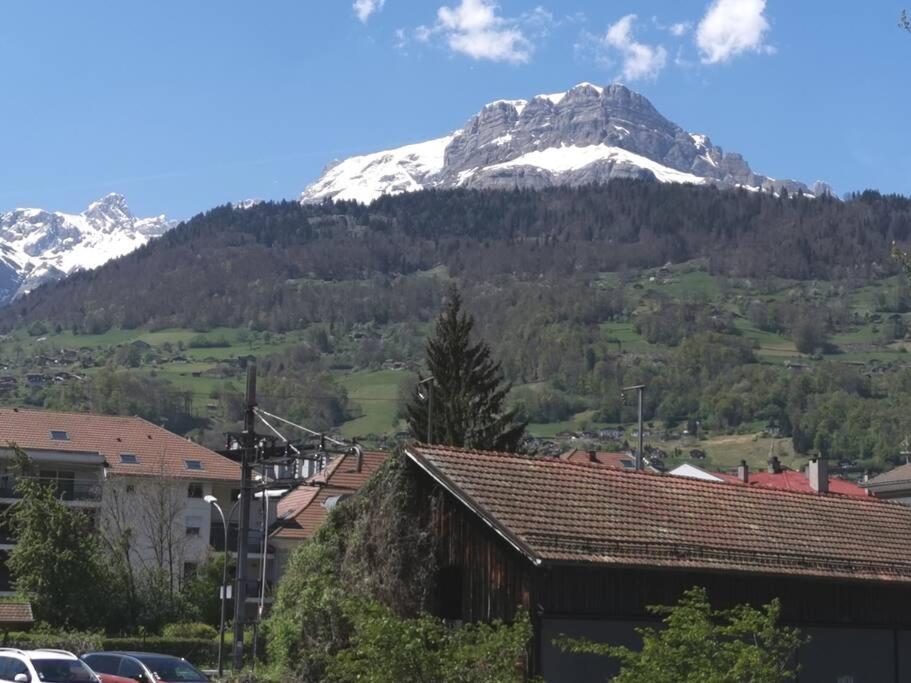Super Cocooning Vu Mont Blanc Appartement