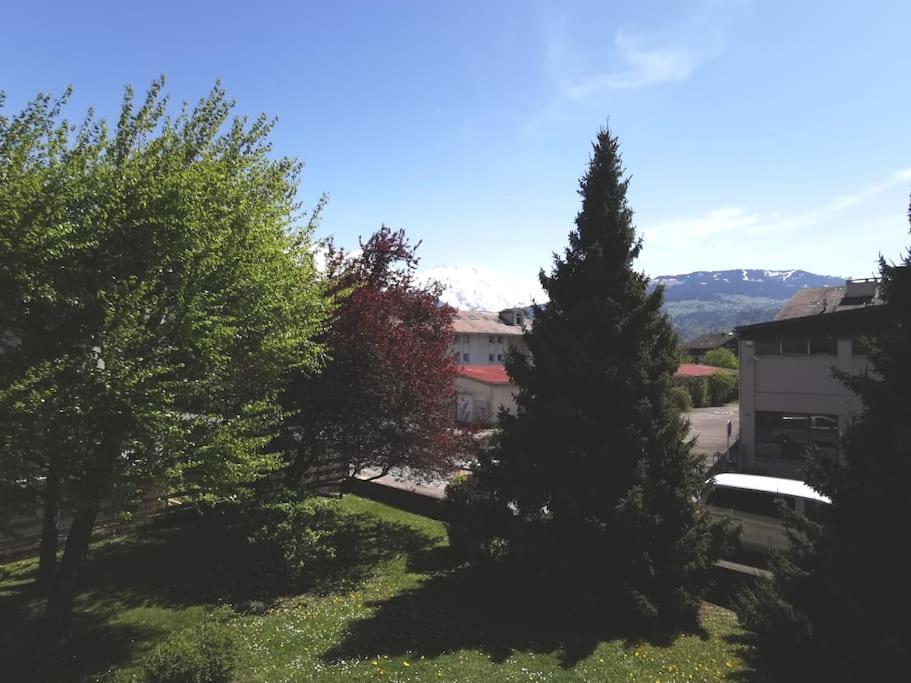 Super Cocooning Vu Mont Blanc Apartment Sallanches