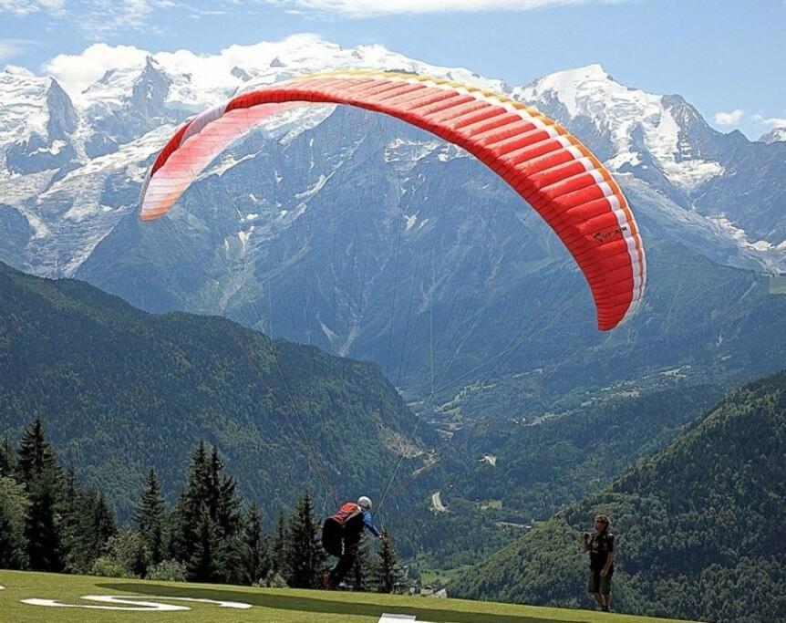 Super Cocooning Vu Mont Blanc Apartment
